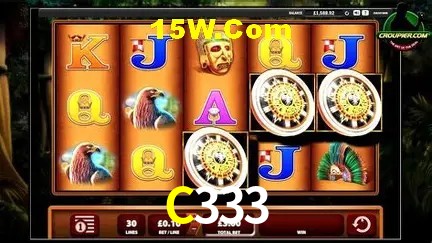 C333 - Security