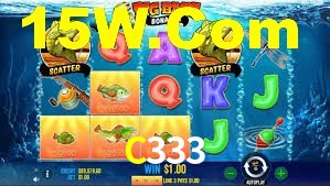 C333,C333.Com