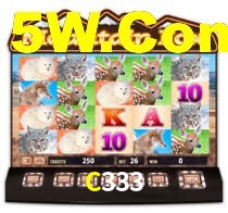 C333,C333.Com
