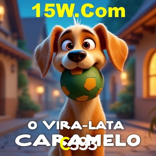 C333 Salvador - Strategies