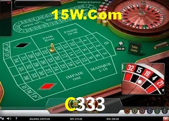 C333 - Support